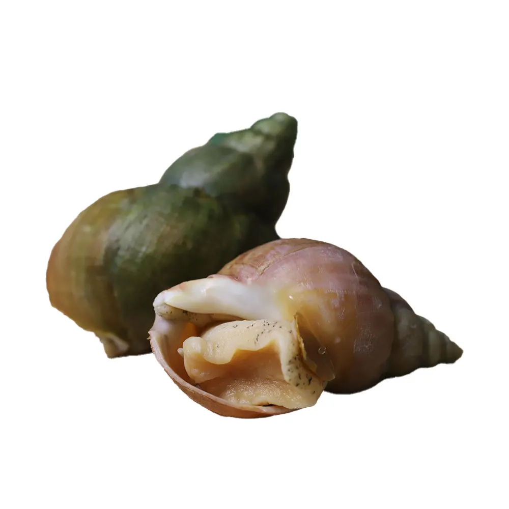 【優鮮配】熟凍｜加拿大翡翠螺X6包｜300G/包｜附獨家沾醬