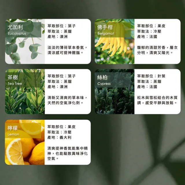 【mo select】100%植萃精油-精選款3入超值組◆果香/草本/花木調10ml(mo選/精油/香氛精油/水氧機精油)
