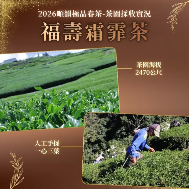 【順韻茶葉】福壽霜霏茶一斤組75g*8包(回甘生津 帶有獨特果香氣)