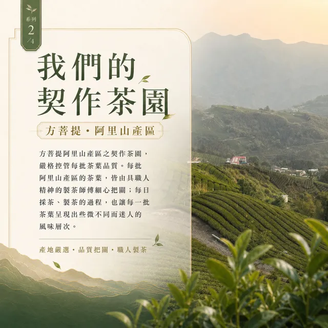 【Funbodhi 方菩提】玉樹臨風高山烏龍茶/高山茶75gx8包(共1斤;烏龍茶/阿里山/春茶)