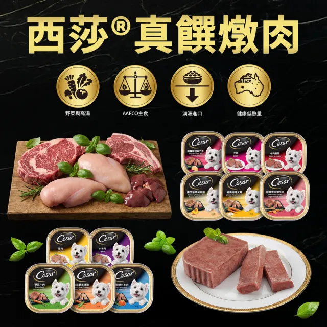 【Cesar 西莎】經典風味餐盒 100g*48入 寵物/狗罐頭/狗食(口味任選/狗罐/犬餐盒/熟齡犬/全齡適用)