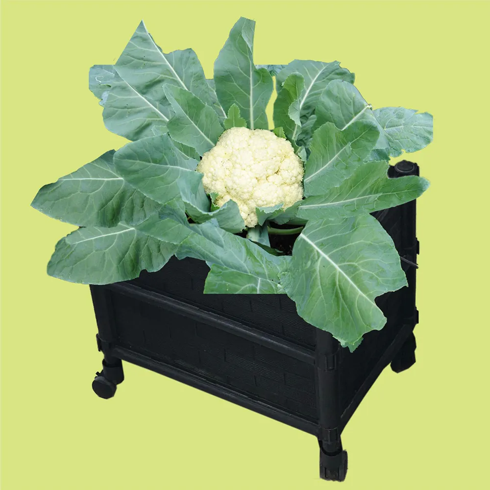 【田園樂】育材雙層種植箱+尼龍輪4顆(組合種植箱種菜箱/深根植物栽培/可選多種側板款式/加裝輪子方便移動)