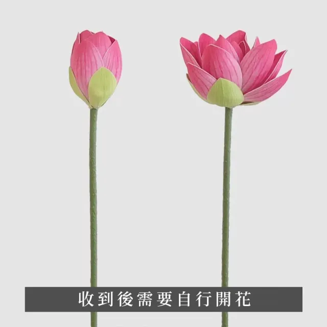 【Floral M】日式上野公園荷花仿真花花材1入組(人造花/仿真花/假花/花藝DIY/裝飾花材)