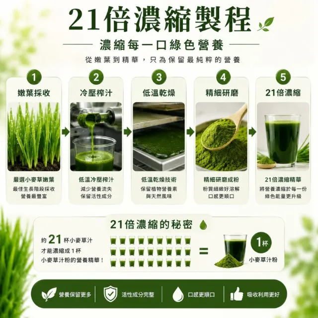 【Naturgrace 樂而泉】超濃縮美國有機火山小麥草汁 150gx12罐（箱購）(有機 純素 葉綠素 膳食纖維)雙11
