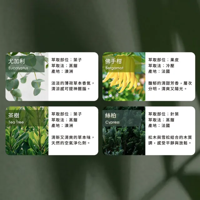 【mo select】100%植萃精油-茶樹10ml(mo選/精油/香氛精油/水氧機精油/茶樹精油)