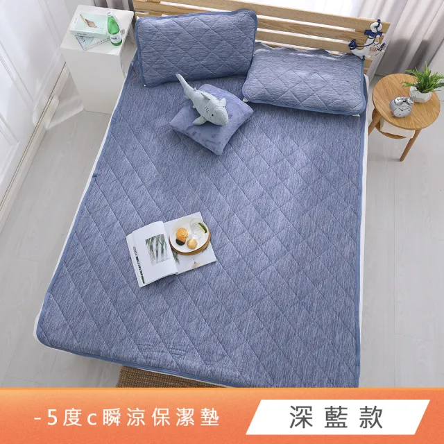 【HongYew 鴻宇】涼感-5度C 瞬涼銀離子可洗抗菌保潔墊-多款任選(單人 涼墊)