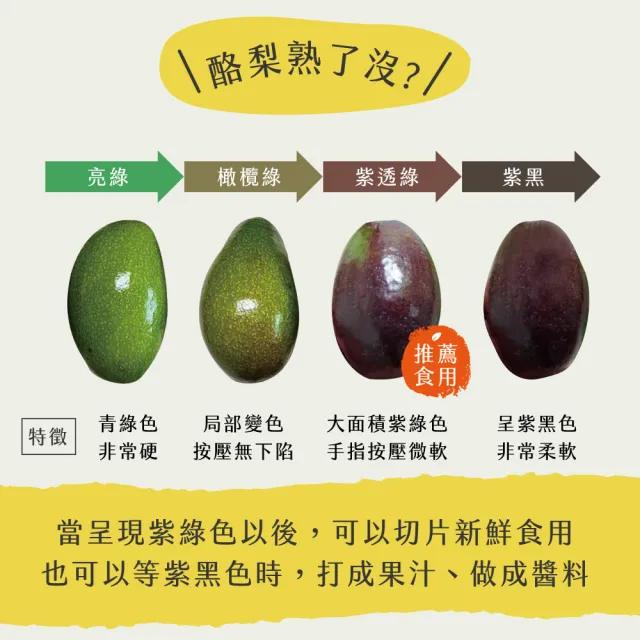 【初品果】屏東高樹鮮採酪梨含箱5斤4-7顆x1盒(幸福牛油果_草生栽培)