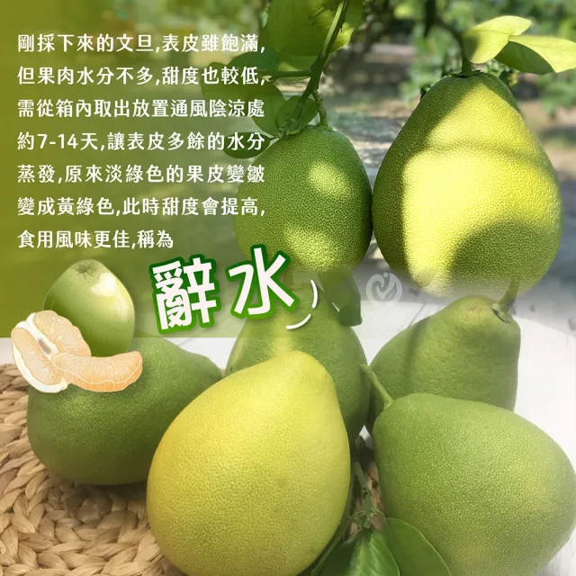 【初品果】台南麻豆老欉文旦10斤x2箱(7-9顆/箱_共20斤/果農直配/中秋送禮/中秋柚子)