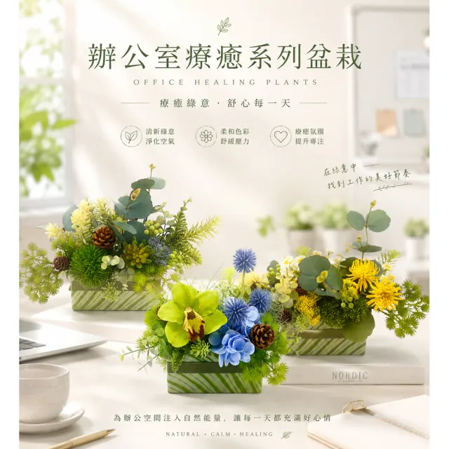 【HUGO DECO 榆果傢飾】辦公室療癒系列 森語時光香氛花禮(入厝禮/開幕/喬遷/送禮/植栽)