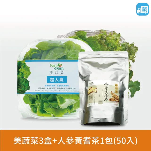 【NICE GREEn 美蔬菜】美蔬菜3入+人參黃耆茶1包(生菜 沙拉 萵苣 人參 黃耆茶)
