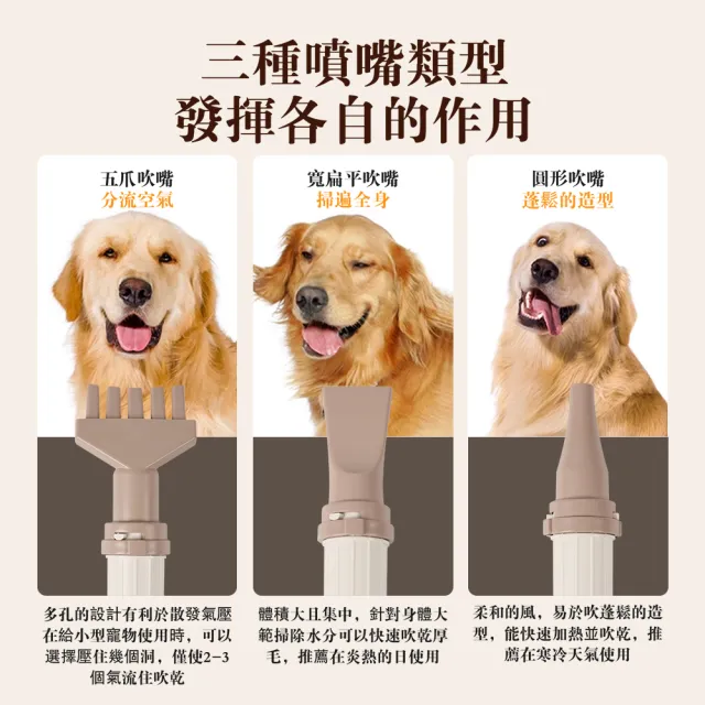 【JoPet】寵物吹水機 吹毛機 吹風機(負離子 九段式風量/溫度)