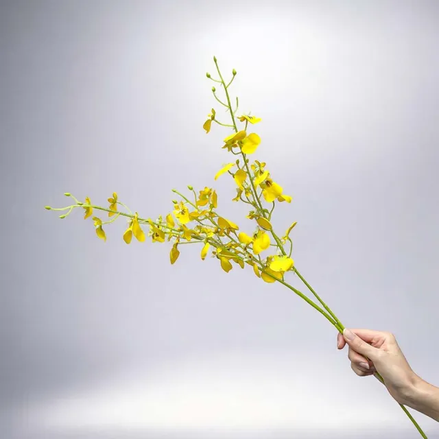 【Floral M】跳舞精靈文心蘭仿真花花材1入組(人造花/仿真花/假花/花藝DIY/裝飾花材)
