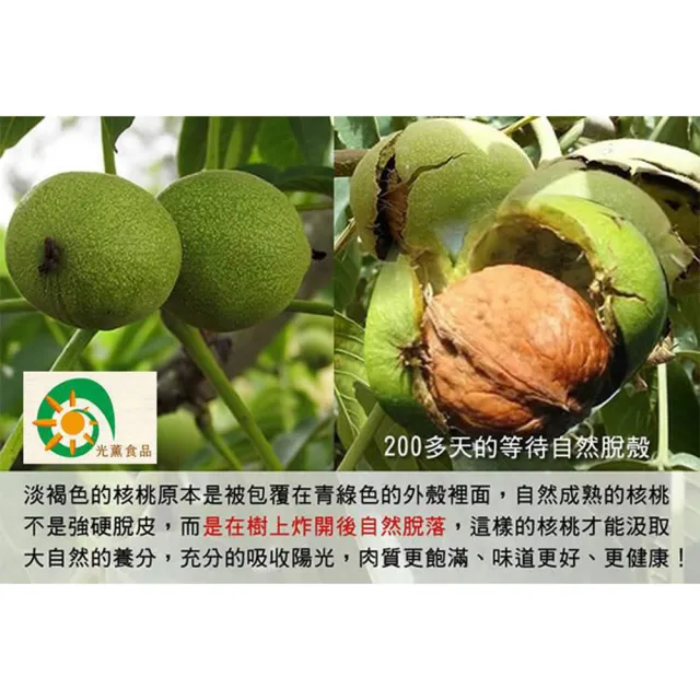 【Guang Xun 光薰】三包組 原味紙皮核桃(新疆鼎級無農藥核桃 無調味堅果 百大伴手禮盒 過年送禮推薦)