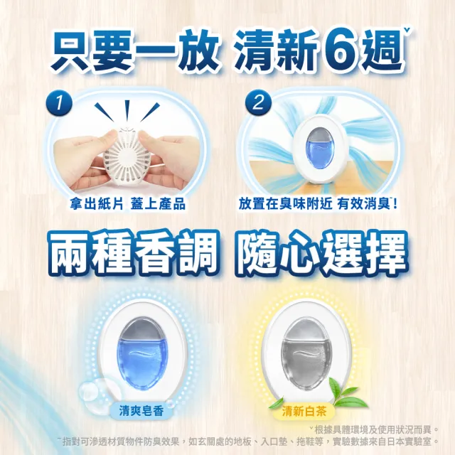 【風倍清】全新室內用 抗菌消臭防臭劑 6入裝 清潔 小幫手