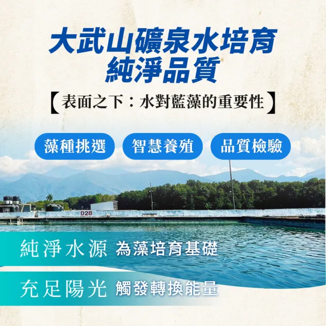 【遠東生技】特級藍藻家庭號 活力調理組x2入(500mg/540錠)