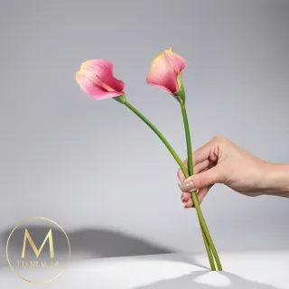 【Floral M】氣質仙女藕紫色海芋仿真花花材5入組(人造花/仿真花/假花/花藝DIY/裝飾花材)