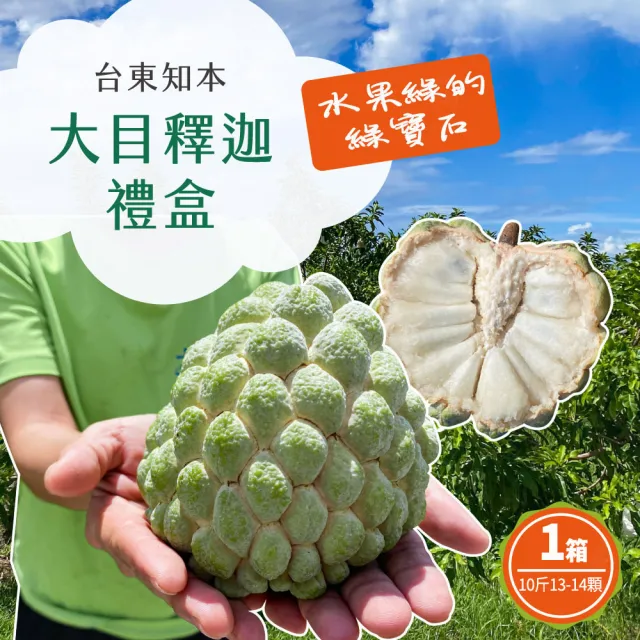 【初品果】台東知本大目釋迦含箱重10斤13-14顆x1箱(產地直送/送禮/禮盒/水果禮盒)