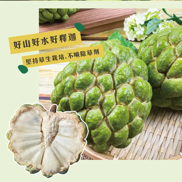 【初品果】台東知本大目釋迦含箱重10斤10-12顆x2箱(產地直送/送禮/禮盒/水果禮盒)