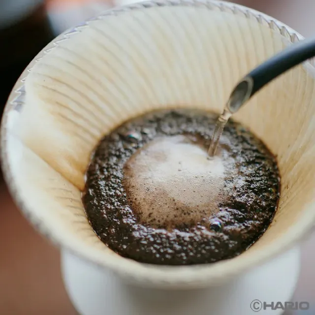 【HARIO】官方直營 V60 NEO樹脂濾杯02(絕美新色登場)