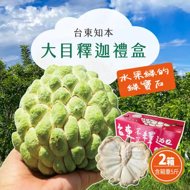 【初品果】台東知本大目釋迦禮盒含箱5斤6-7顆x2盒(送禮/禮盒/水果禮盒)