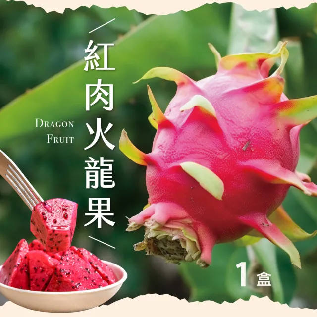 【初品果】台南白河紅肉火龍果含箱5斤6-9顆x1盒(含豐富紅甜花素_清甜多汁)