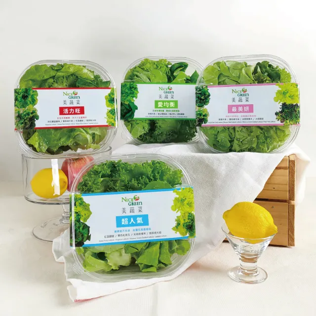 【NICE GREEn 美蔬菜】美蔬菜盒 2 入、羽衣甘藍盒 2 入送2包沙拉醬(生菜 沙拉 蔬菜 萵苣 羽衣甘藍)