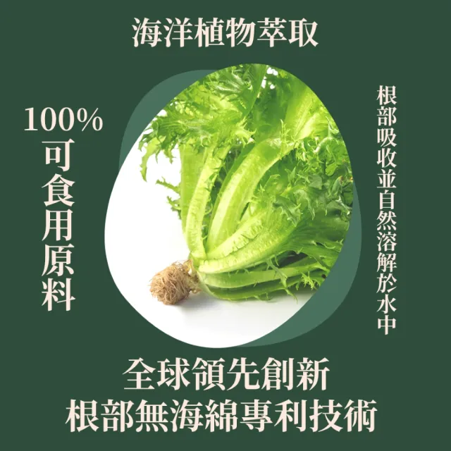 【源鮮智慧農場】綜合鮮蔬箱180g x 4盒 (生菜｜生菜沙拉｜水耕蔬菜｜蔬菜｜水耕生菜沙拉)