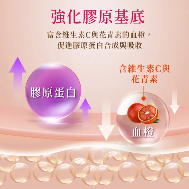 【老行家】凝粹燕窩飲禮盒(14瓶/盒)(保健禮盒/鱸魚胜肽飲)