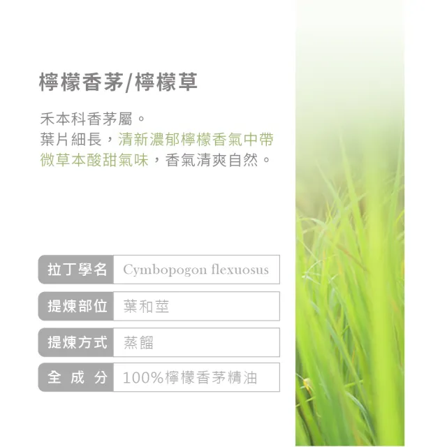 【ANDZEN】安得仁 澳洲單方純精油 檸檬香茅/檸檬草100mlx2+歐薄荷30ml(明亮清透+清香氛圍)