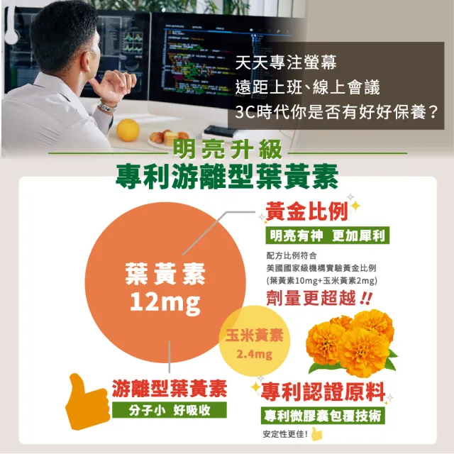 【SENTOSA 三多】游離型葉黃素 黑醋栗複方3入組(共90錠)