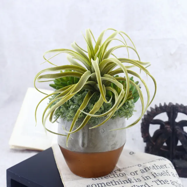 【HUGO DECO 榆果傢飾】植毛空氣鳳梨多肉植栽(擬真植物/禮物/綠化/永不凋零/佈置/聖誕節)
