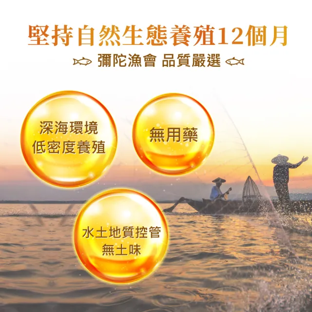 【華陀扶元堂】古傳滴魚精1盒組(10包/盒-膠原蛋白/Omega-3/彌陀漁會)