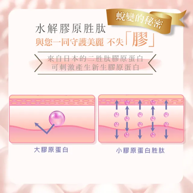 【Bioline 星譜生技】Go漾妍_紅石榴膠原蛋白6盒(30顆/盒)(紅石榴多酚.彈力蛋白.玄米賽洛美萃取.鋅.C.)