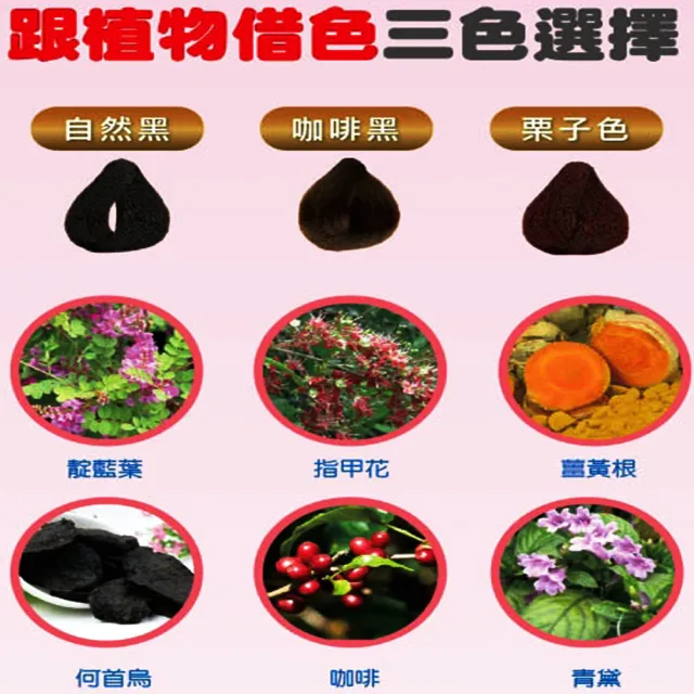 【法登】泡泡染髮劑3盒