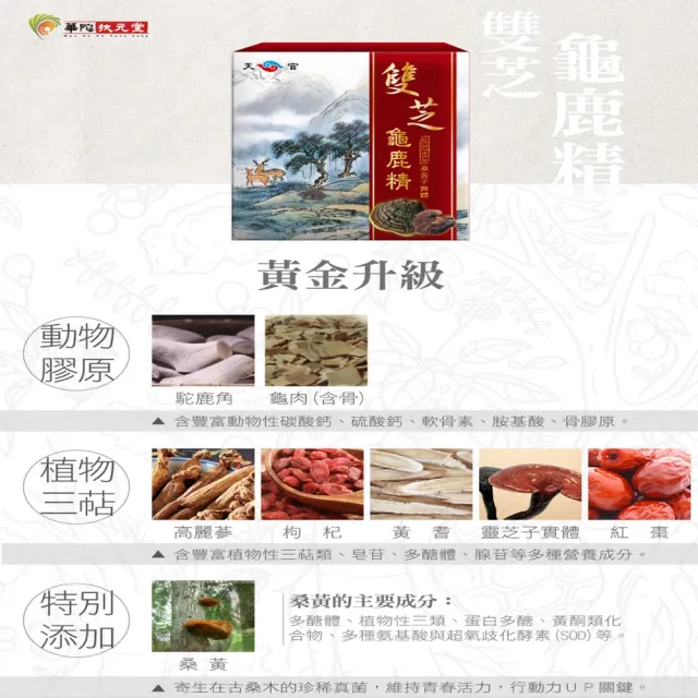 【華陀扶元堂】雙芝龜鹿精1盒(9瓶/盒;陳美鳳代言-軟骨素/桑黃子)