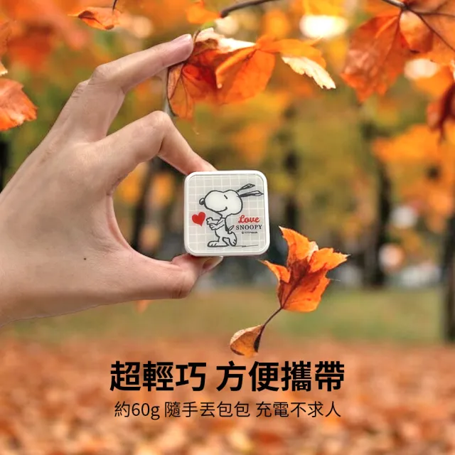【SNOOPY 史努比】40W GaN氮化鎵 兩孔1C1A 夾心快充充電器/旅充