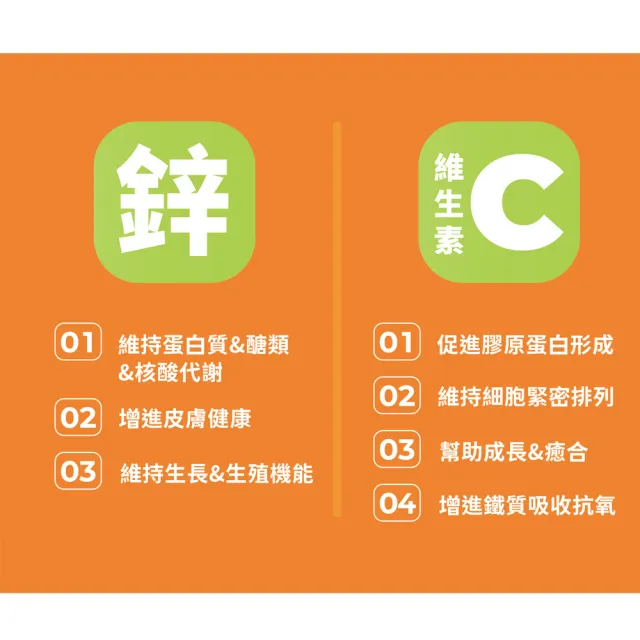 【Doppelherz 德之寶】C+鋅發泡錠15錠x6罐(德國雙心)