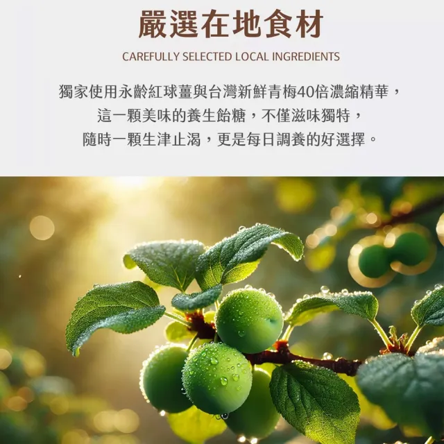 【吉品保健】養生紅球薑梅精飴 買6送1(80公克±3%)