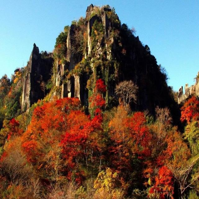 【喜鴻假期】★九州賞楓有購省５日★阿蘇火山.門司港.湯布院.柳川遊船.深耶馬溪.熊本城(含稅)