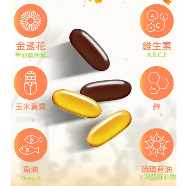即期品【Doppelherz 德之寶】葉黃素日夜軟膠囊60粒/盒(德國雙心)