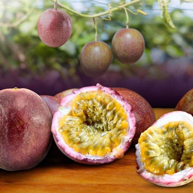 【賞菓優鮮】埔里吊網藍星紫薇百香果精美禮盒1盒(28-35粒/5斤±10%/盒)(新鮮現採_產地直送)