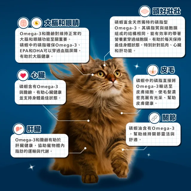 【PAW PAW LAND 肉球世界】南極磷蝦大肉包45g×17入(貓咪主食餐包 益生元 牛磺酸)