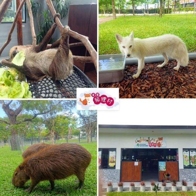 【宜蘭狐狸村】全票★超夯親子出遊首選(眾多可愛小動物+假日不加價)