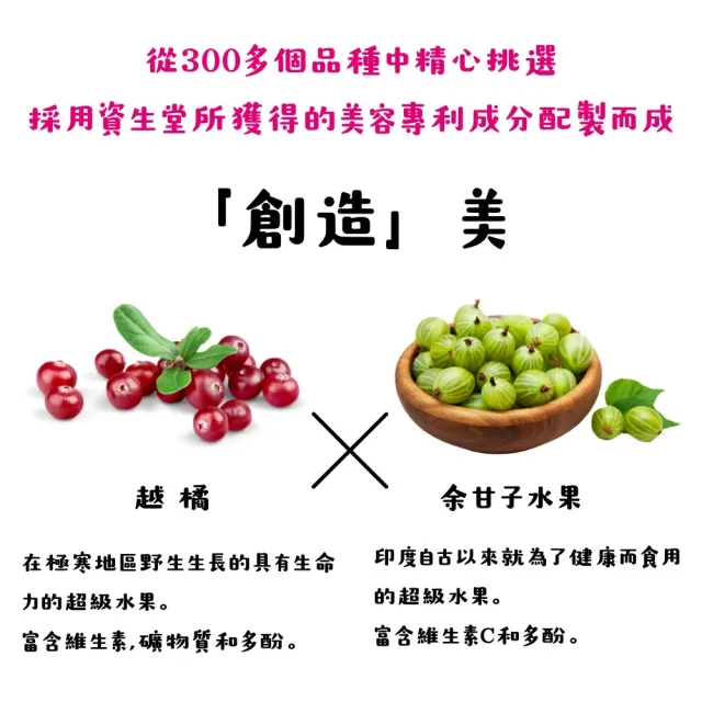 【SHISEIDO 資生堂】頂級The Collagen膠原蛋白錠10種成分X2(126粒/包)