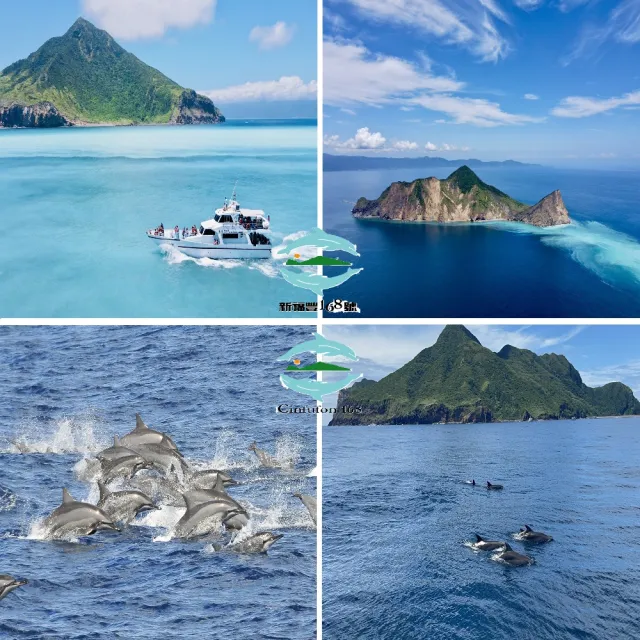 宜蘭新福豐168賞鯨旅遊｜兒童票★賞鯨＋繞龜山島＋登龜山島(三合一)