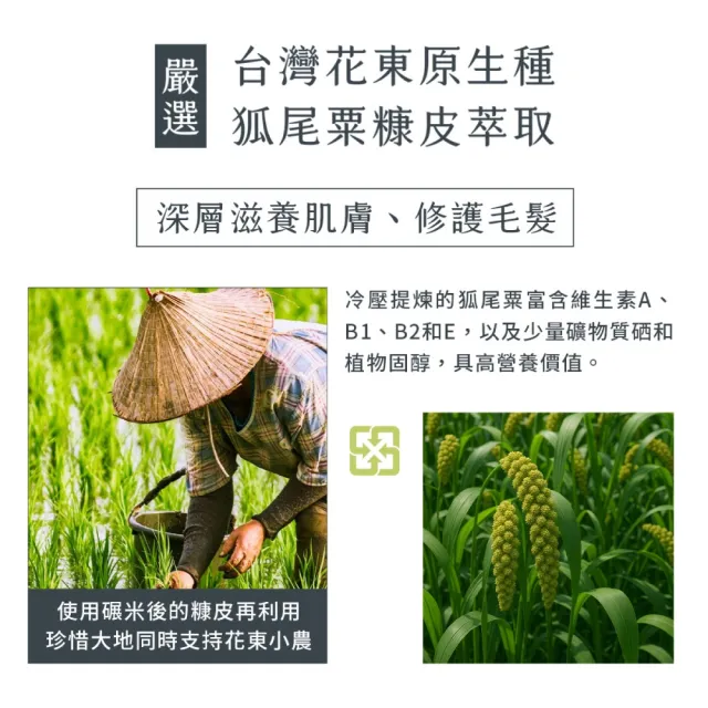 【清淨海 官方直營】森山島讀沐浴露750mlX3入(保濕滋潤/修護/檜木精油 森林浴/栗米萃取/小農合作)