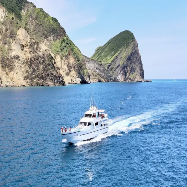宜蘭新福豐168賞鯨旅遊|兒童票★賞鯨+繞龜山島(附導覽解說)