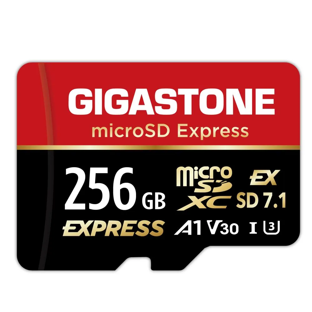 【Gigastone 立達國際】A1 V30 256GB microSD Express 高階遊戲記憶卡 ( 適用 Nintendo Switch 2 )