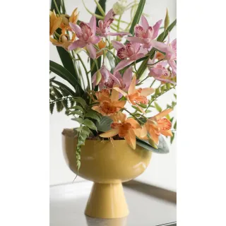 【Hutte】Orchid Garden Gift Box 擬真蘭園禮盆 (Lightly Vera)