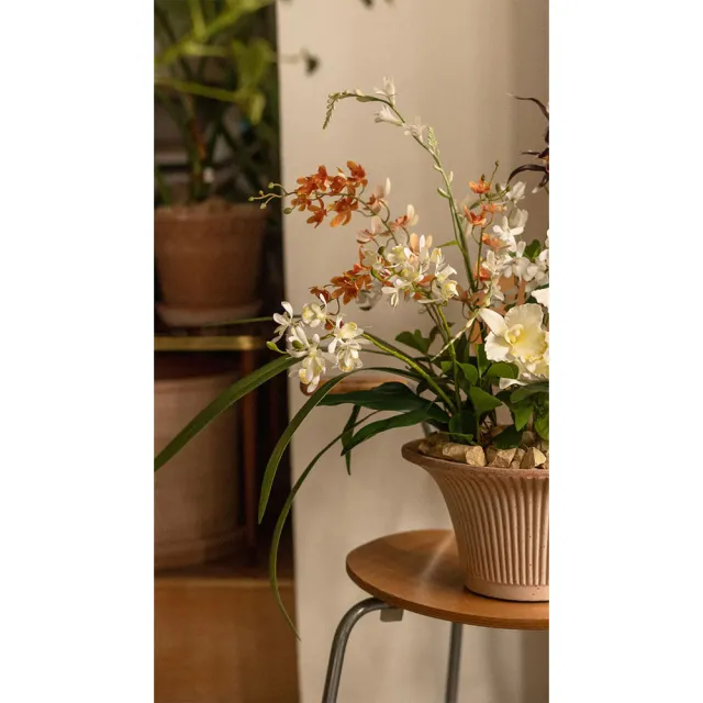 【Hutte】Orchid Garden Gift Box 擬真蘭園禮盆 (Bergspotter Daisy)
